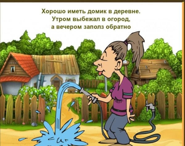 Анекдоты про огород
