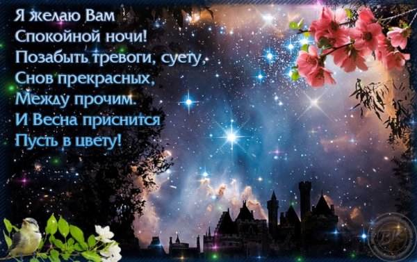 Спокойной весенней ночи с пожеланиями
