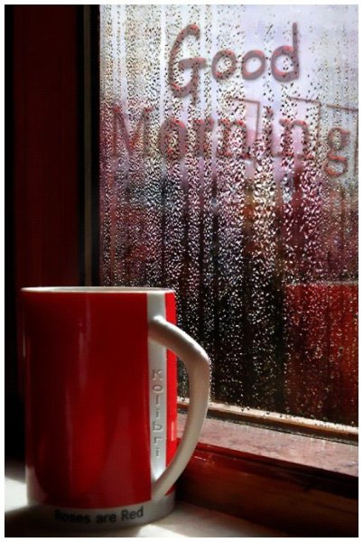 Красная Кружка на окне