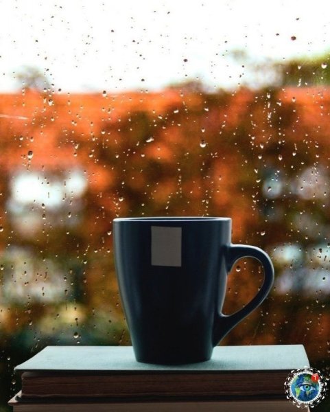 Чашка на окне