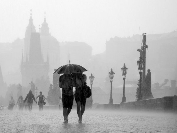 Фон дождя и войны