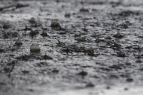 Дождь война