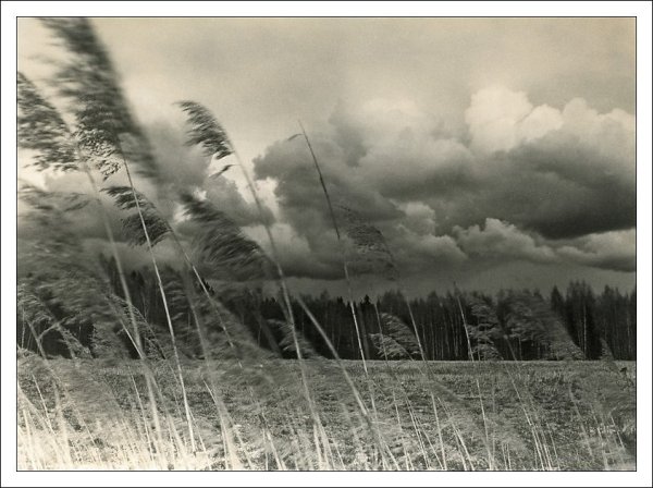 Ветер черно белый