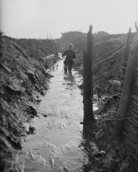 Затопленные траншеи первой мировой войны