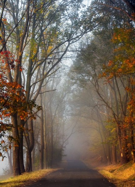 Хмурая осень