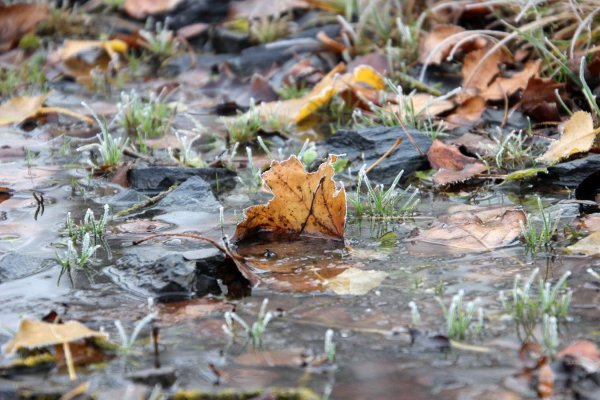Осень дождь лужи