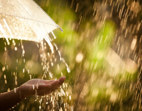 Летний дождь