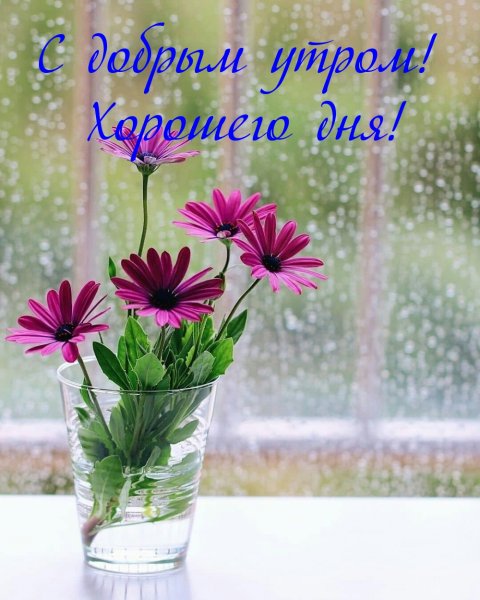 Доброе Утро В Дождливую Погоду Картинки