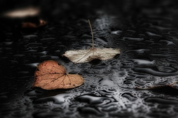 Грустная осень