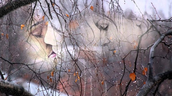 Осень дождь грусть