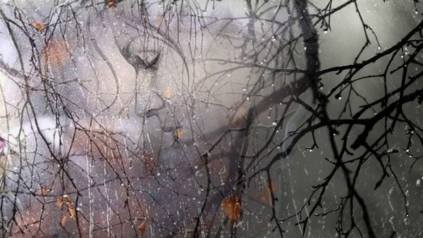 Осенний дождь на окне