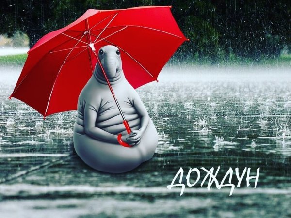 Шутки про зонтик