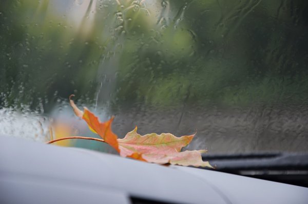 Капли дождя на лобовом стекле