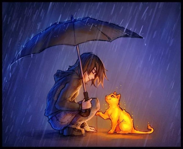 Кот дождь арт