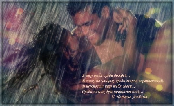 Я искал тебя всю жизнь
