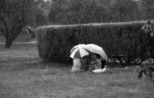 Пикник в дождь