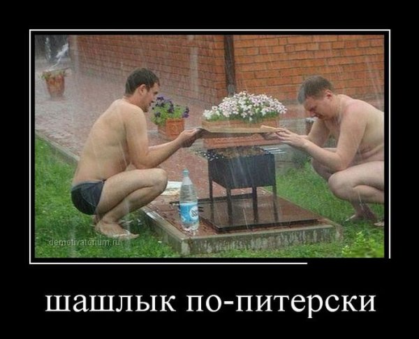 Шашлыки под дождем приколы