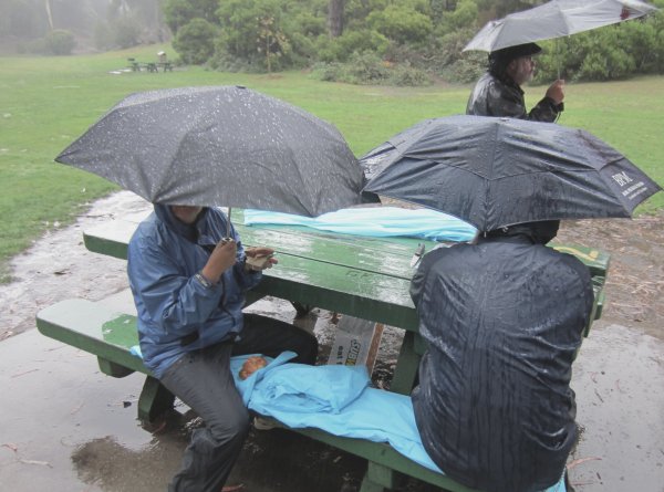 Пикник в дождь