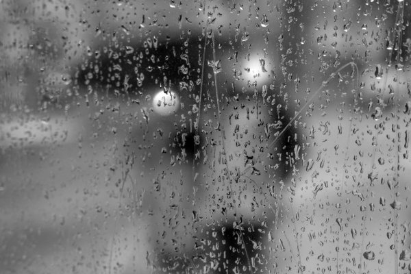 Серый дождь