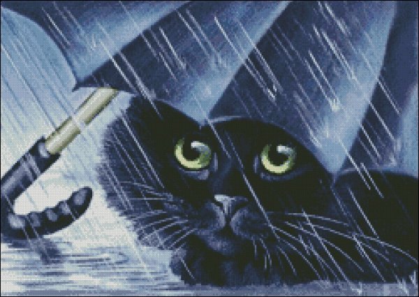Кот под зонтом