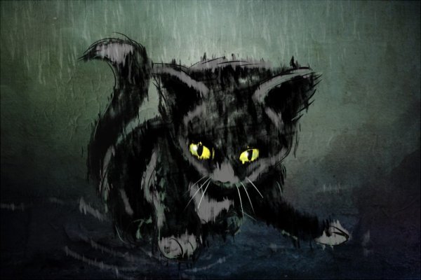 Черный кот плачет