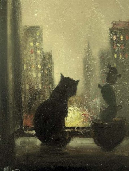 Кот окно дождь