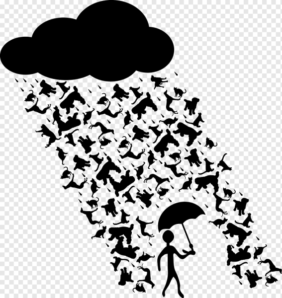 Raining Cats and Dogs идиома