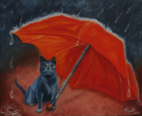 Кошка под дождем