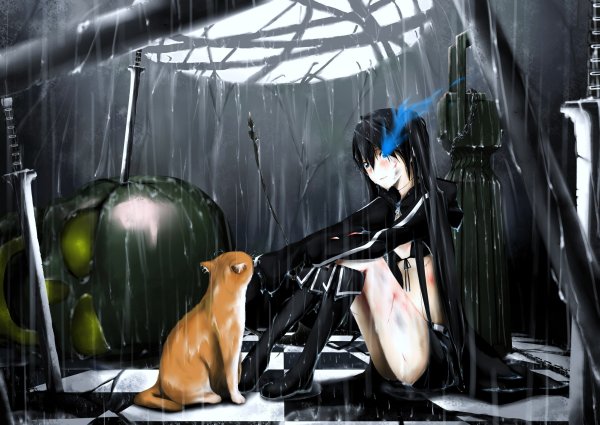 Аниме девушка с черным котом