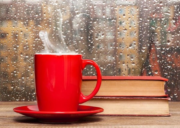 Coffee good morning books Rainy weather