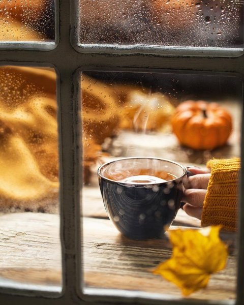 Чашка кофе у осеннего окна