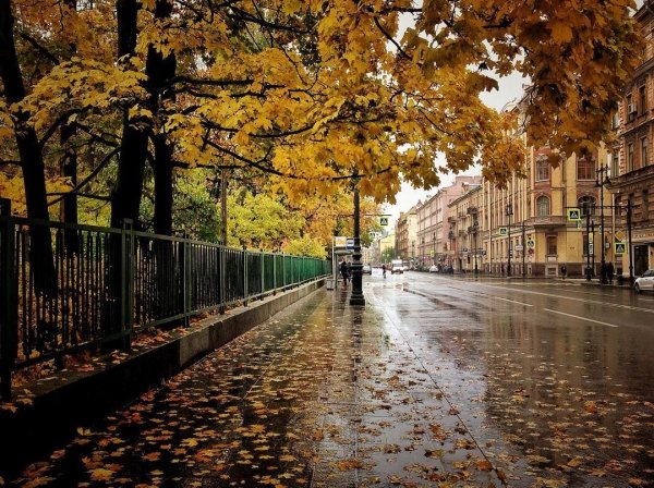 Улица Чайковского Санкт-Петербург осень