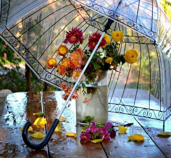 Осенний букет под дождем