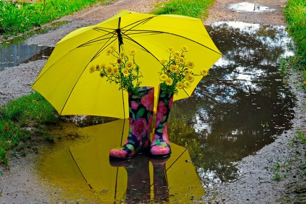 Резиновые сапоги и зонт