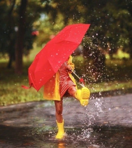 Осень зонтик