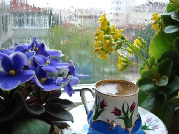 Доброе пасмурное летнее утро