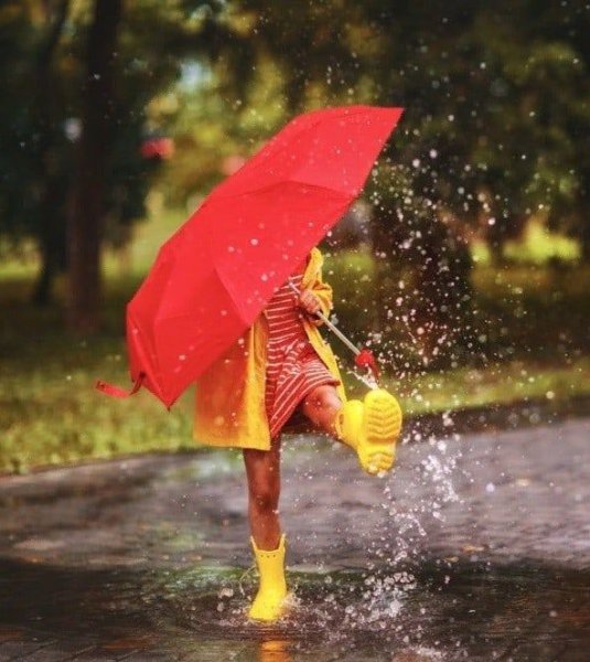 Зонт в луже