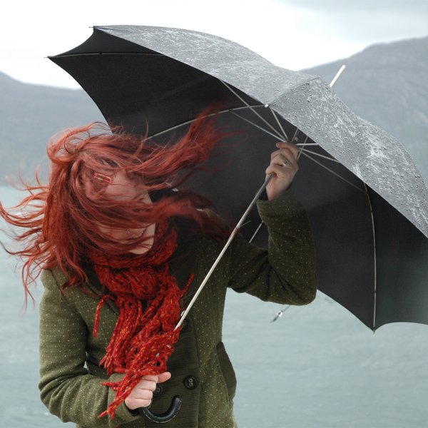 Дождь и ветер