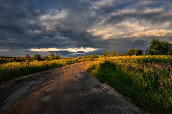 Пейзаж после дождя
