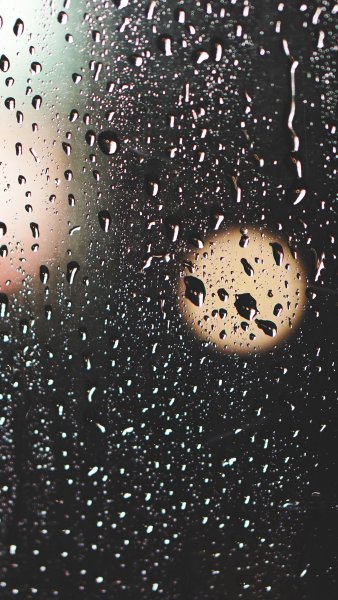 Мокрое окно