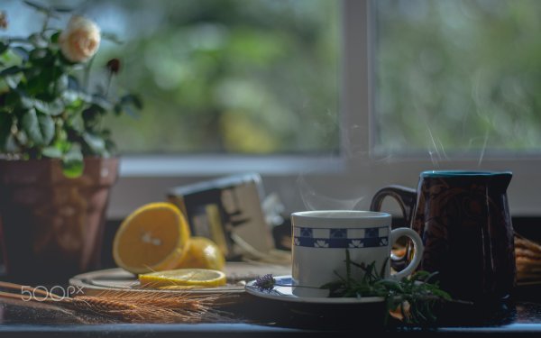 Чаепитие у окна