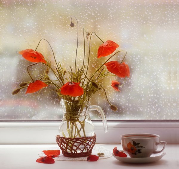 Доброе утро дождь