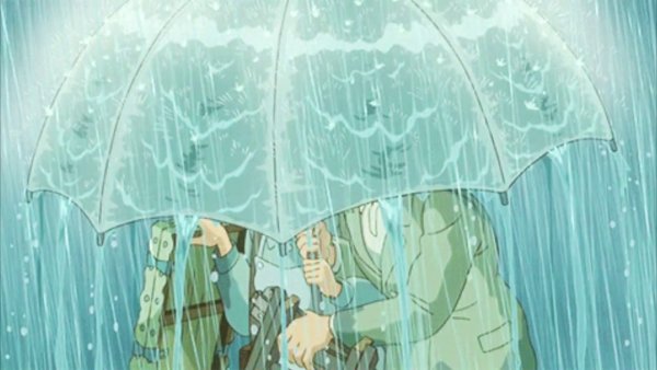 Завеса дождя