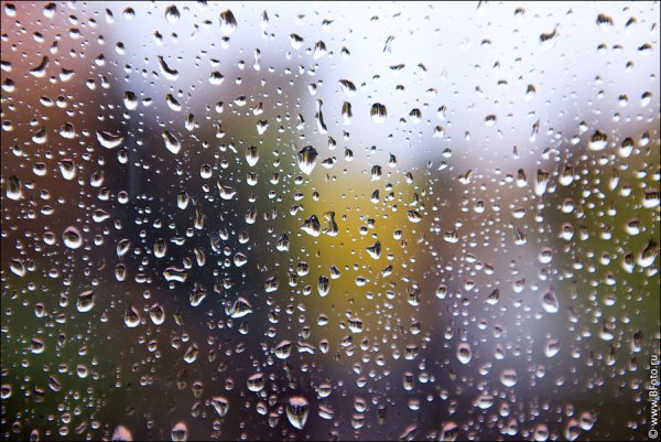 Дождливое окно