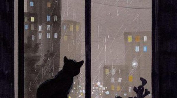 Кот на окне ночью