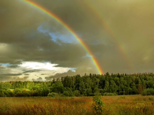 Дождь для радуги