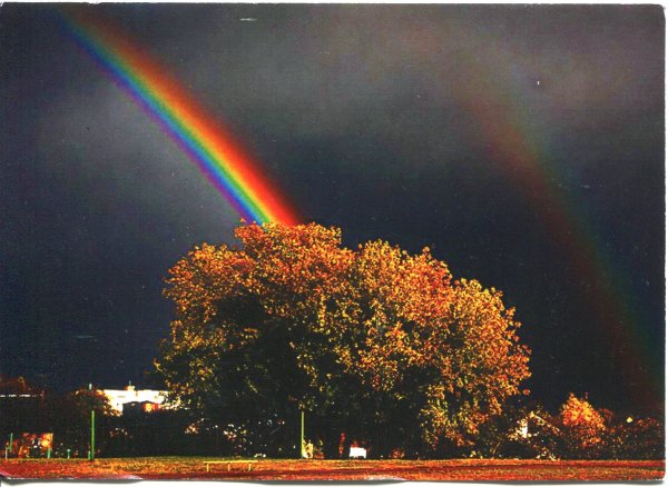 Радуга после дождя