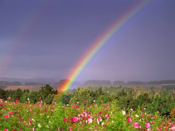 Радуга над лугом