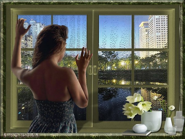 Красивая женщина у окна