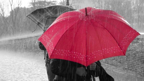 Ливень картинки